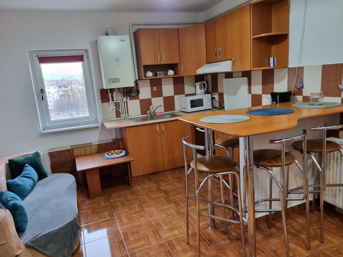 Marya'S Appartement Râmnicu Vâlcea Buitenkant foto