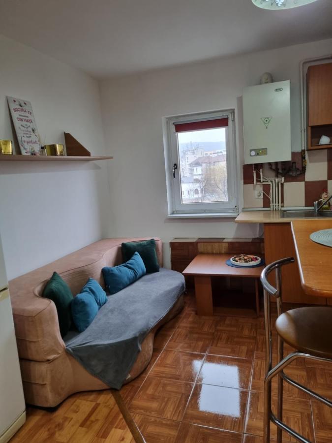 Marya'S Appartement Râmnicu Vâlcea Buitenkant foto